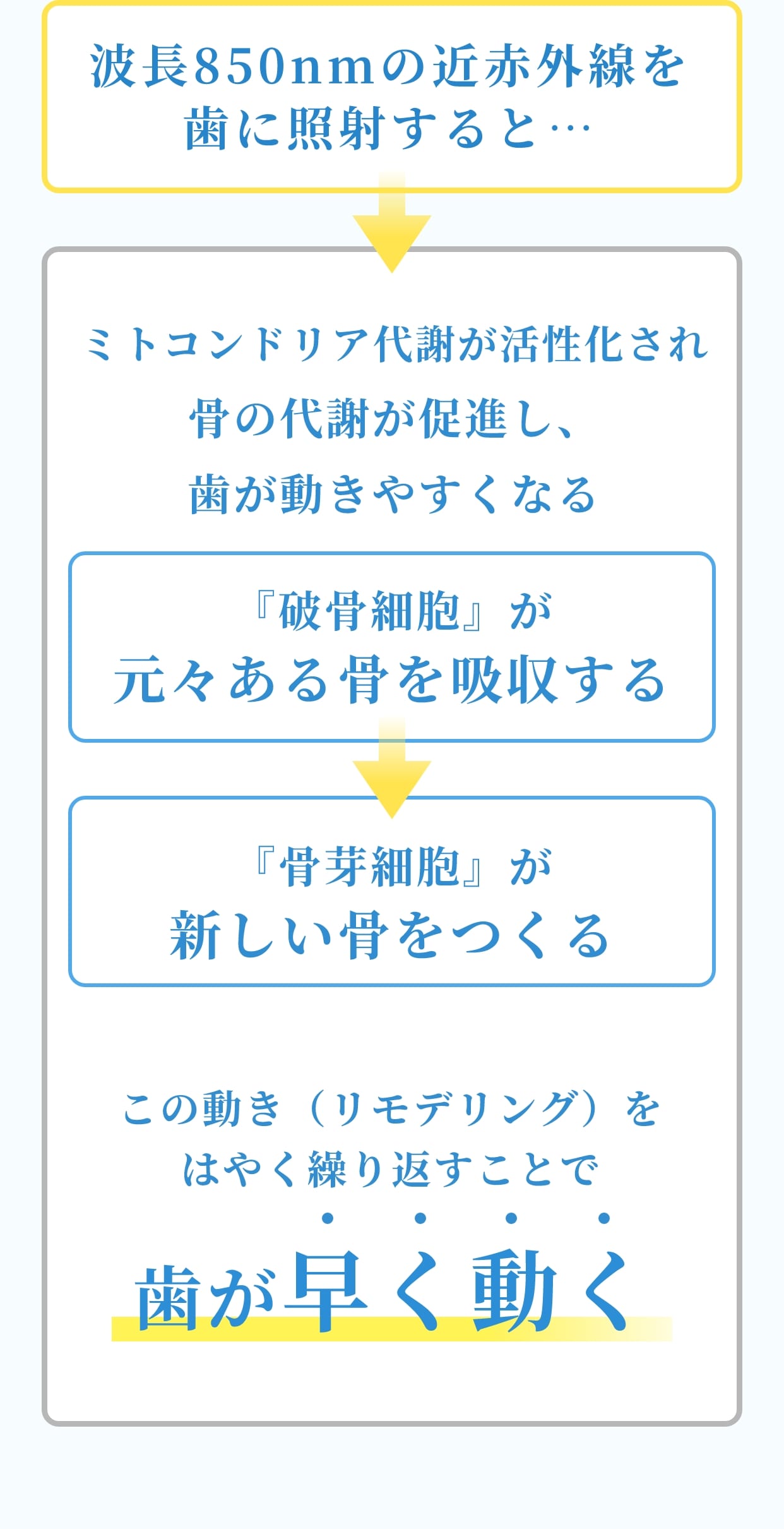 波長850nmの近赤外線をミトコンドリア代謝が活性化され骨の代謝が促進し、歯が動きやすくなる。「破骨細胞」が元々ある骨を吸収する。「骨芽細胞」が新しい骨をつくる。この動き（リモデリング）をはやく繰り返すことで歯が早く動く